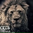 Lillo