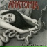 Anatomia