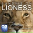 Sunsvision