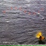 Dissonance