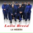 Latin Breed