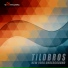 Tildbros, Stefan Zintel