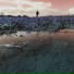 We Used To See The Sky