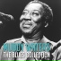 Muddy Waters