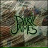Daryl James
