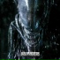 Animagus