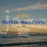 Herbie Hancock