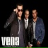 Grupo Vena