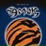 Amuk