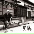 Shamo