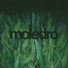Moledro