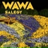 Wawa Salegy