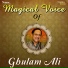 Ghulam Ali