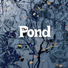 The Pond