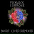 Pickwick Commons