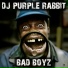 DJ Purple Rabbit