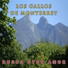 Los Gallos De Monterrey