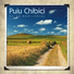 Puiu Chibici