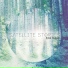 Satellite