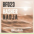 Hasher