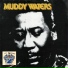 Muddy Waters