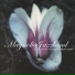 Magnolia Jazzband