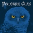 Powerful Owls