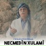 Necmedîn Xulamî