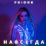 FeiGee