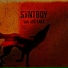 Syntboy
