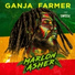 Marlon Asher feat. SwissX, ViiB