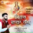 Vicky Singh