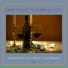 Dinnerparty Saxophone Jazz