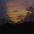 Celer