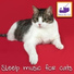 RelaxMyCat