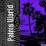 Palms Music, mokadzaru