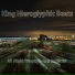 King Hieroglyphic Beats