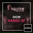 Dionn