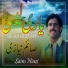 Saim Niazi
