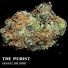 The Purist