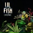 Lil Fish