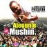 Alh. Wasiu Alabi Pasuma