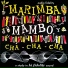 Marimba Chiapas