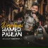 Hamed Pahlan