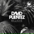 David Puentez feat. MTS, Shawnee Taylor