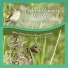 Nature Healing Acoustics Relaxation Meditation