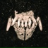 Amenra