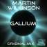 Martin Wilkinson