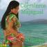 Los Corraleros de Majagual feat. Alfredo Gutiérrez