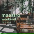 Maestro